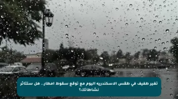 تغير طفيف في طقس الإسكندرية اليوم مع توقع سقوط أمطار.. هل ستتأثر نشاطاتك؟